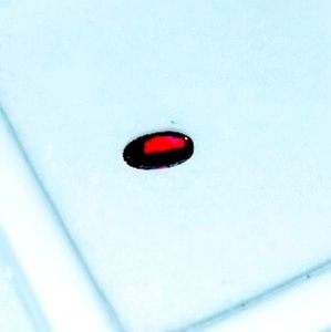 Orissa Rhodolite Garnet